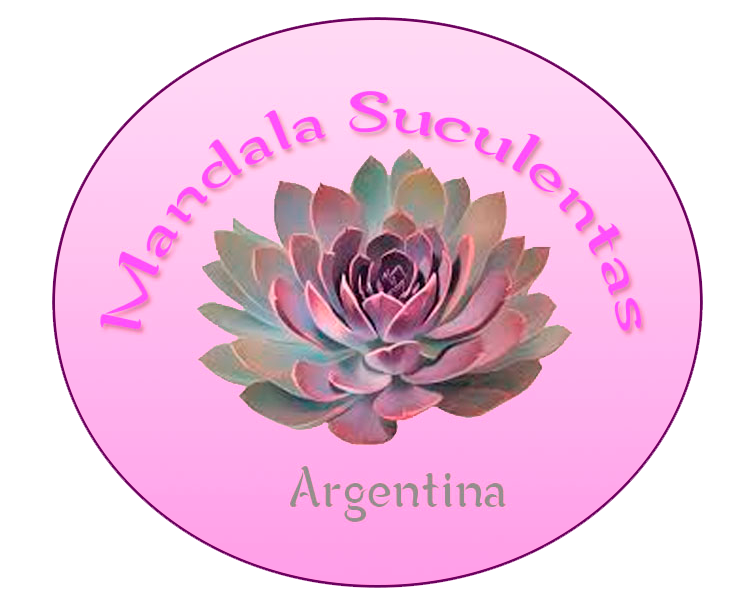 Mandala de suculentas : u/Famafernandes