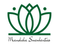 Mandala Suculentas